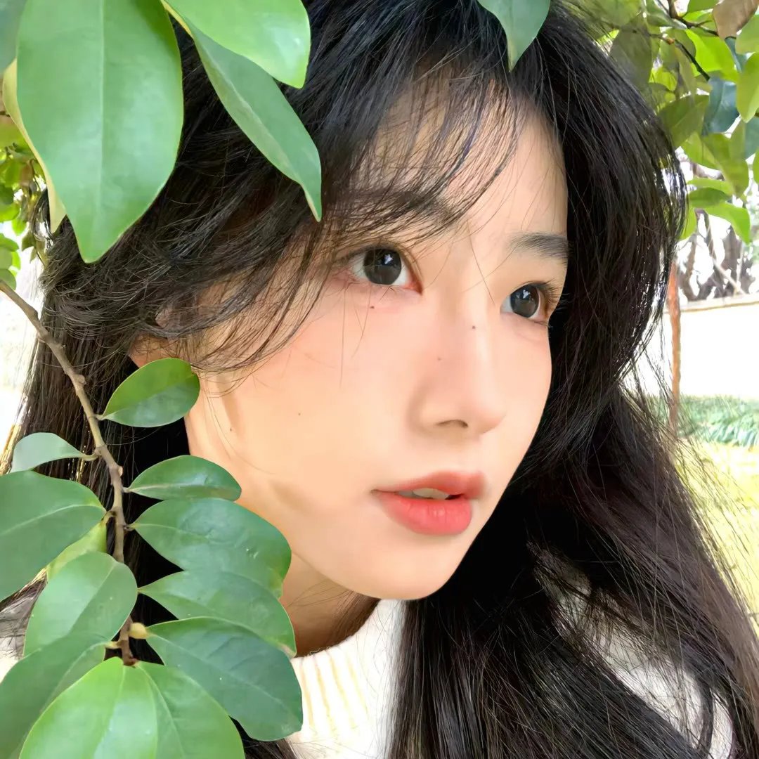 哈莉·奎茵第一季